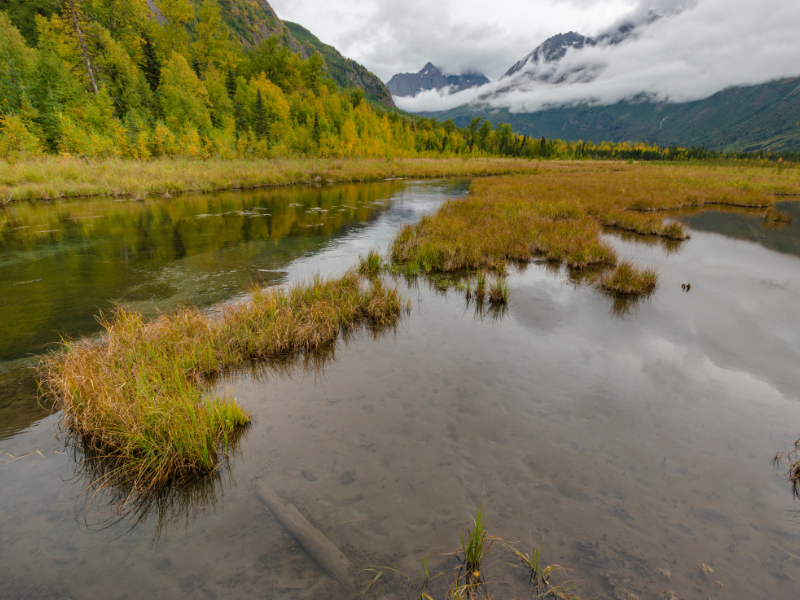 Assainissement individuel zone inondable